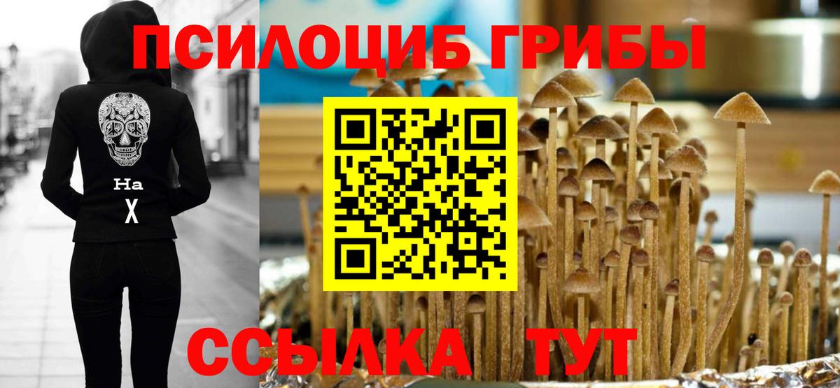 Тобольск  Псилоцибиновые грибы GOLDEN TEACHER  Вход с VPN 